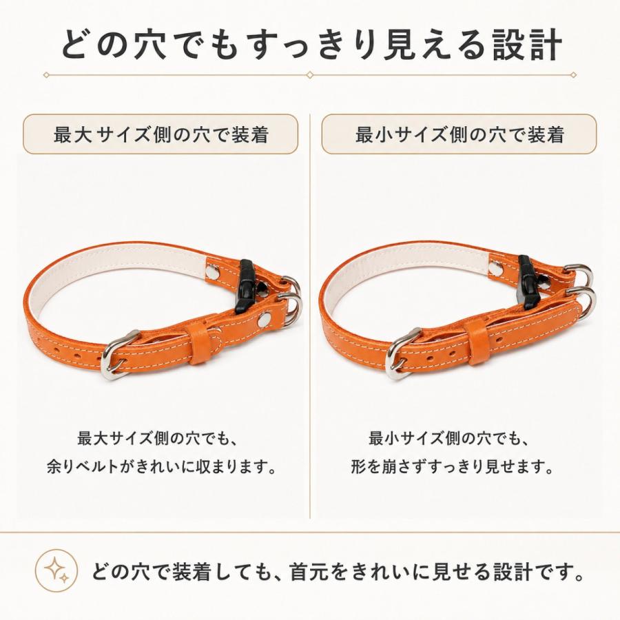 犬用首輪 本革 牛革 名入れ対応 ワンタッチ ダブルリング 2重ロック