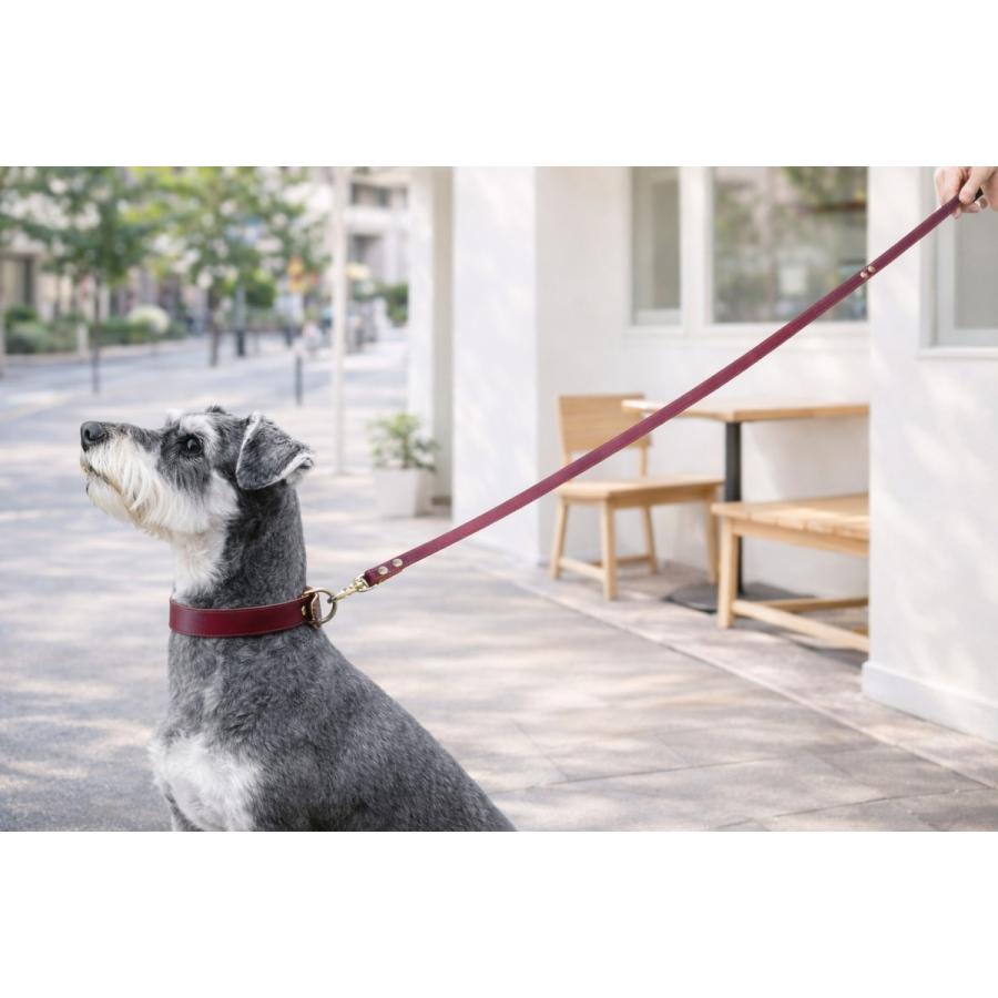 犬 リード 犬リード カラフル カフェスタイル シンプル 本革 ヌメ革