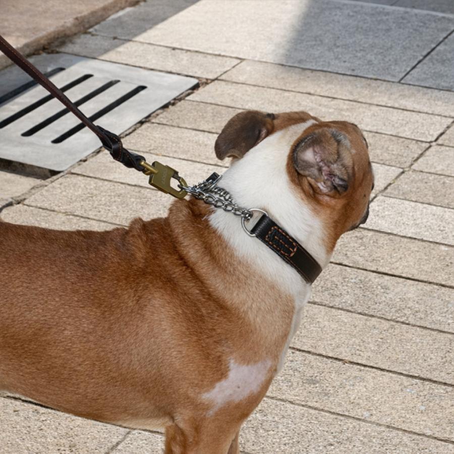 定番しつけ犬具 犬 ハーフチョーク 本革 首輪 犬首輪 革
