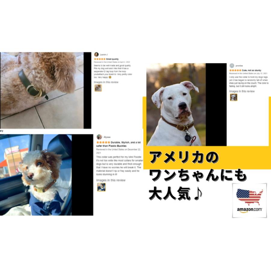 新型 海外 人気 犬 首輪 犬首輪 ワンタッチ 革 おしゃれ かわいい 中型犬 犬の首輪 柴犬 コーギー いぬ くびわ 犬用品 送料無料 犬用 カラー レザー Mサイズ Collar B M Beanspet 通販 Yahoo ショッピング