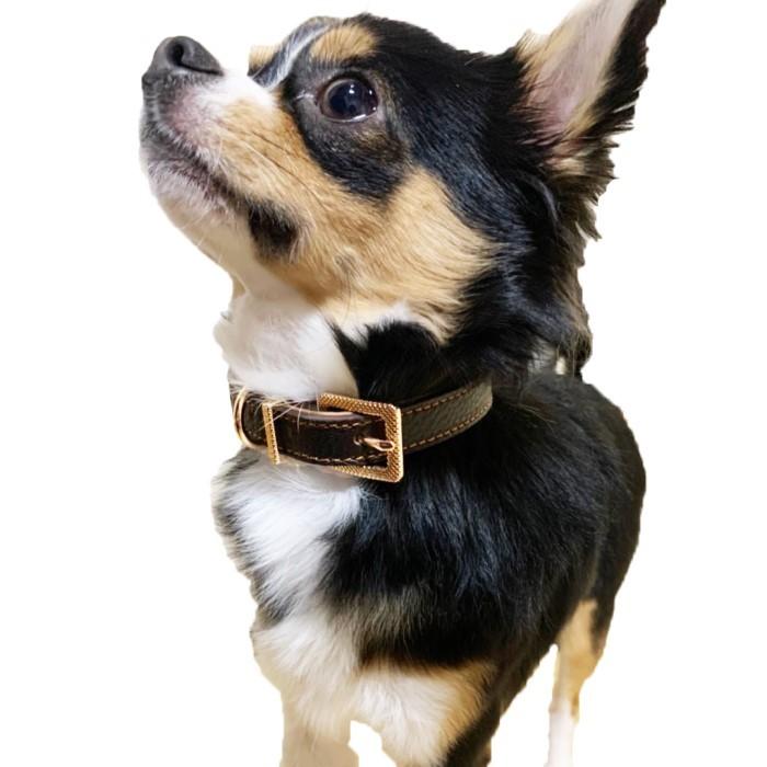 犬 ベーシック ソフトタッチ 首輪 犬首輪 革 おしゃれ かわいい 小型犬 本革 犬の首輪 チワワ トイプードル いぬ くびわ 犬用品 送料無料  :collar-c:Beanspet - 通販 - Yahoo!ショッピング