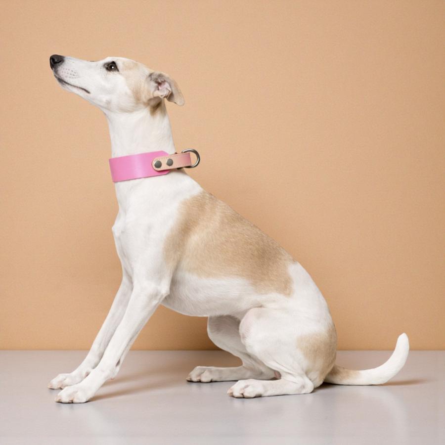 名入れ無料 犬用首輪 首に優しい 本革 日本製 幅広 首細い犬種 牛ヌメ