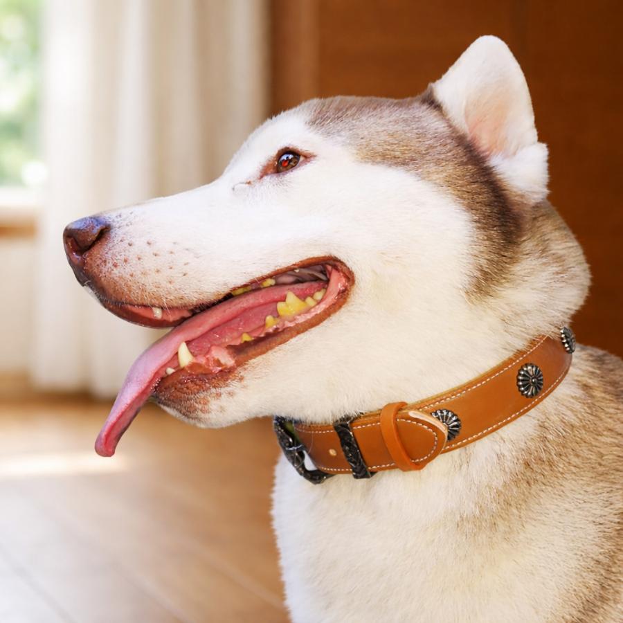 犬用首輪 マイクロファイバーレザー アンティーク調 スタッズ 小型犬