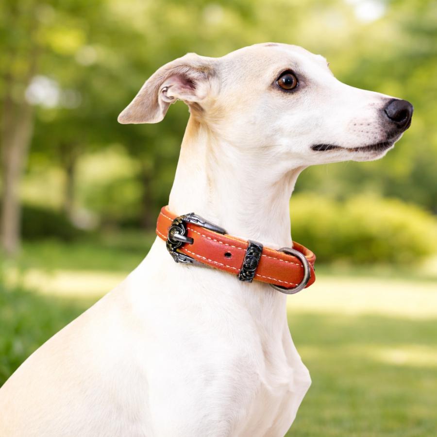 20%OFFクーポン対象 犬用首輪 レザー アンティーク調 小型犬 中型犬