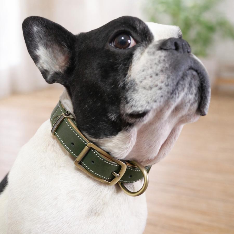 犬用首輪 レザーベルト 毛が挟まりにくい レザー ベルトタイプ