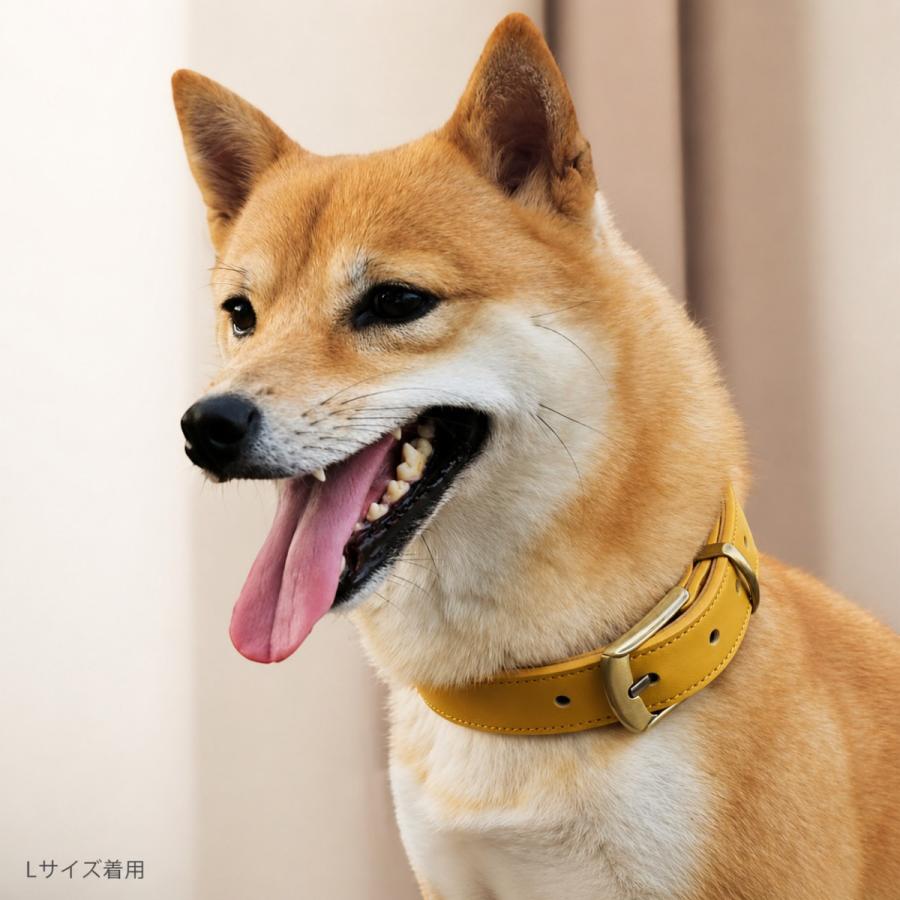 名入れ無料 本革 犬用首輪 XS〜XLサイズ対応 軽量設計で小型犬から大型