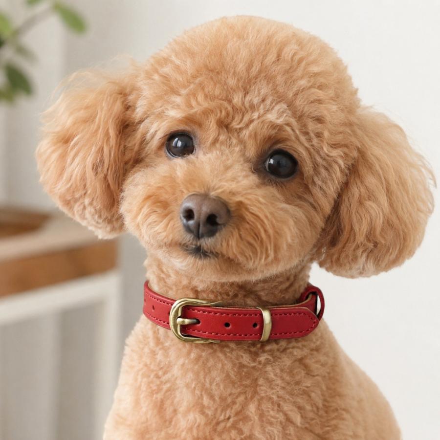 名入れ無料 本革 犬用首輪 XS〜XLサイズ対応 軽量設計で小型犬から大型