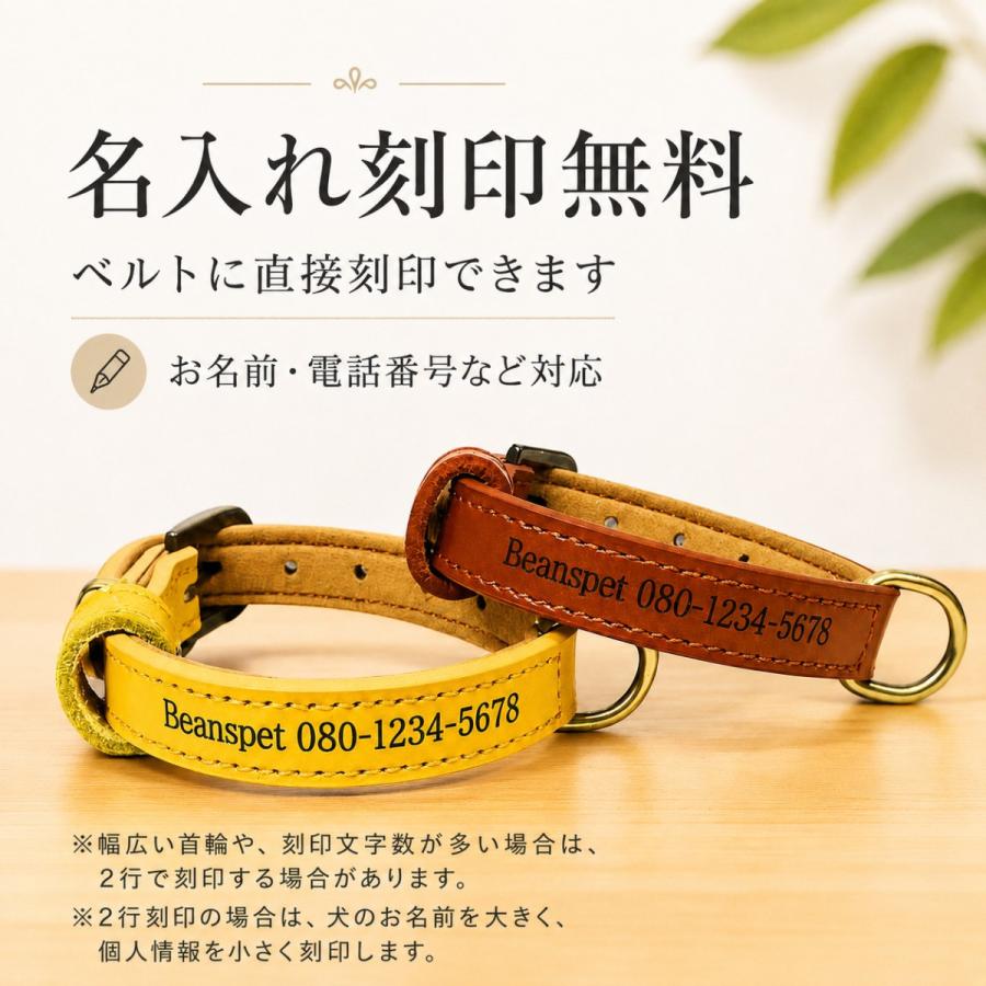 鹿革製品、犬用レザー首輪 黒と黄色 ゴールドバックル【小型犬様】 名入れ無料 本革 犬用首輪 XS〜XLサイズ対応 軽量設計で小型犬から大型