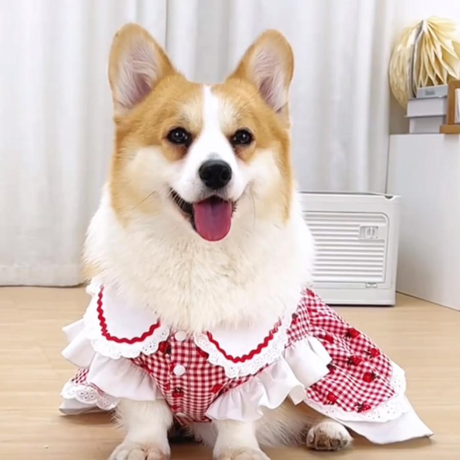 新商品 犬服 春 夏 犬ワンピース いちごポシェット チェック柄
