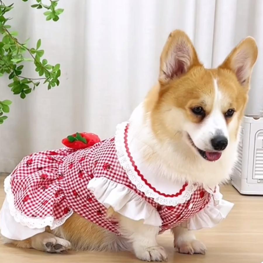 新商品 犬服 春 夏 犬ワンピース いちごポシェット チェック柄