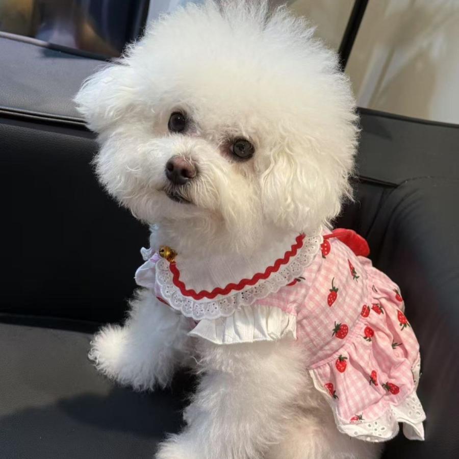 新商品 犬服 春 夏 犬ワンピース いちごポシェット チェック柄