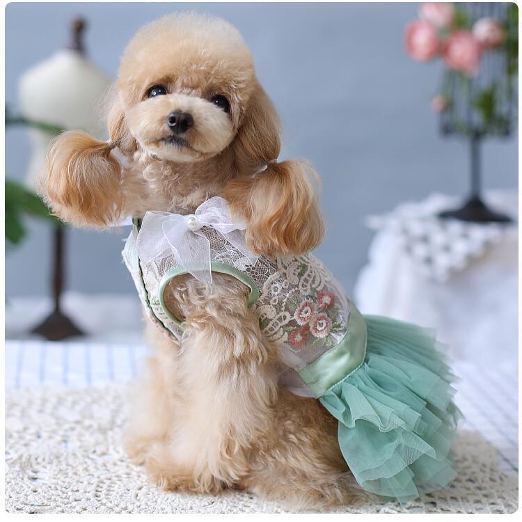 犬服 ミント☆ページ ハンドメイド 楽天市場】サマープリントメッシュタンク XS/S/M/L/XL/XXL/DXS