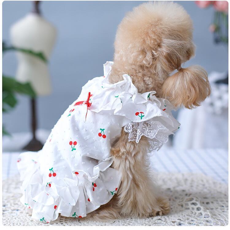 犬 ワンピース おしゃれ インナー カットソー ドッグウェア フラワーガーリー ブランド 中型犬 可愛い 夏 小型犬 春 春夏 服 洋服 犬の服 犬服 猫 高級 今季ブランド カットソー