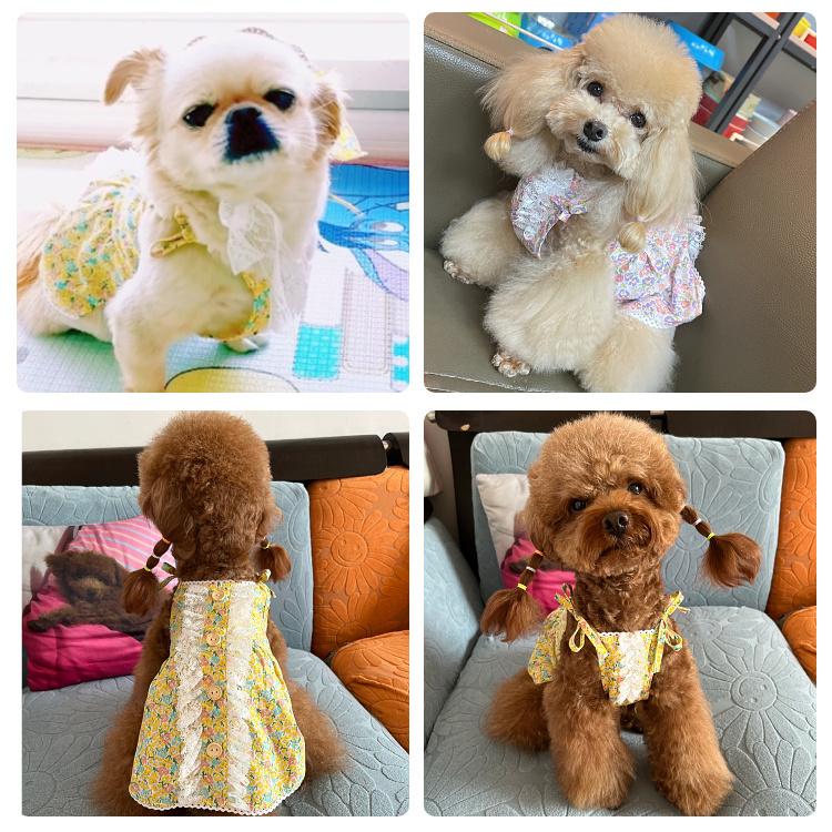 Thankyou★骨董犬服ブランド出品中様 Thankyou☆骨董犬服ブランド出品中様 Thankyou☆骨董犬服