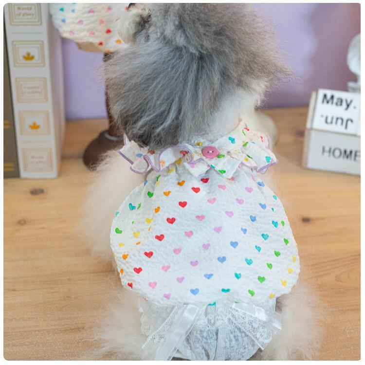 犬服 トップス パンツ 2点セット レインボーハート レース TANIWINA
