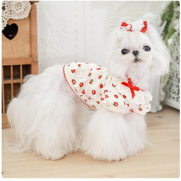 20%OFFクーポン対象 犬 ワンピース カットソー インナー フラワー