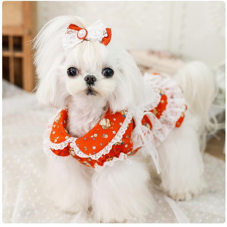 犬 ワンピース マーガレット エプロン風 国産生地 綿100% 犬服