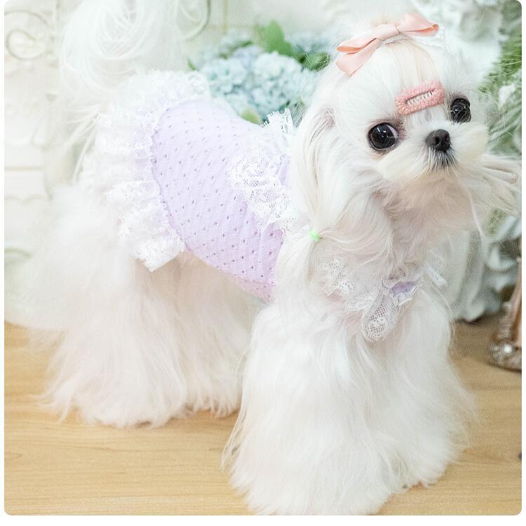 20%OFFクーポン対象 犬 ワンピース パステルカラー コットン 犬服