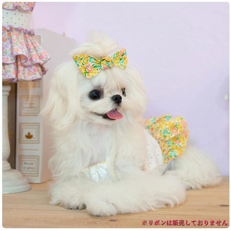 犬 ワンピース フラワー パンチング キャミ ブランド 高級 犬服