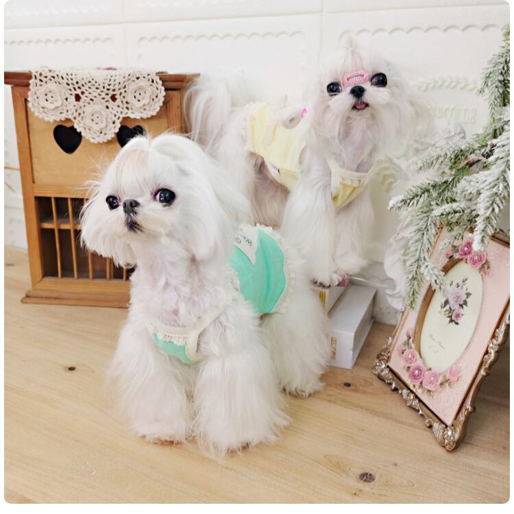 新発売 犬 ワンピース リネン Mix キャミ 犬服 ブランド 高級 犬 服 犬の服 ドッグウェア 猫 小型犬 中型犬 おしゃれ 洋服 可愛い 春 夏 秋 Taniwina A Beanspet 通販 Yahoo ショッピング