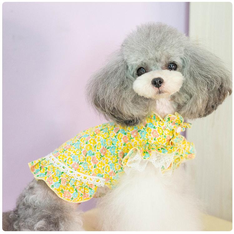 20%OFFクーポン対象 犬 ワンピース スタンド フリル フラワー ブランド