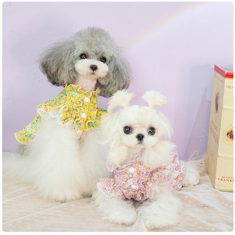 20%OFFクーポン対象 犬 ワンピース スタンド フリル フラワー ブランド