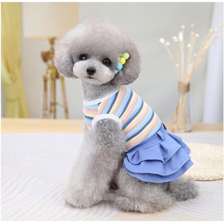 犬服 犬 服 ワンピース マルチボーダー 犬の服 ドッグウェア 小型犬