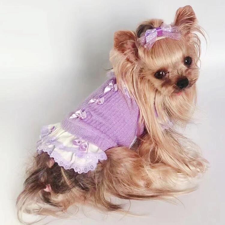 20%OFFクーポン対象 犬 服 ワンピース 小型犬 ドッグウェア 秋冬