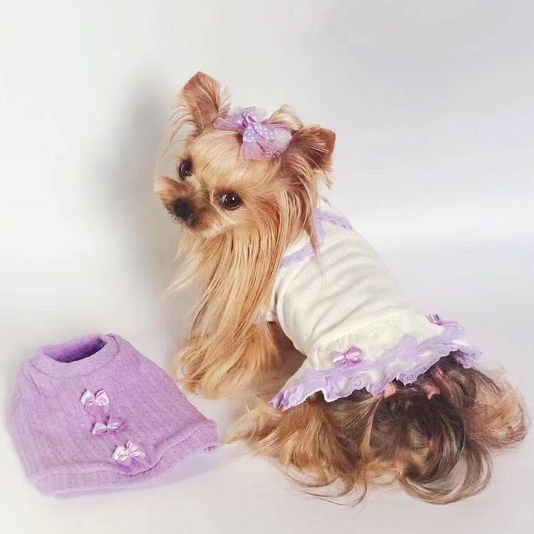 20%OFFクーポン対象 犬 服 ワンピース 小型犬 ドッグウェア 秋冬