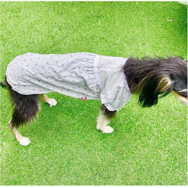 中型犬 大型犬 犬用 ワンピース スイートいちご柄 犬服 犬 服 犬