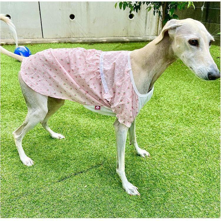 犬服 ワンピース 春夏 ポリエステル100% いちご柄 花柄 レース 中型犬