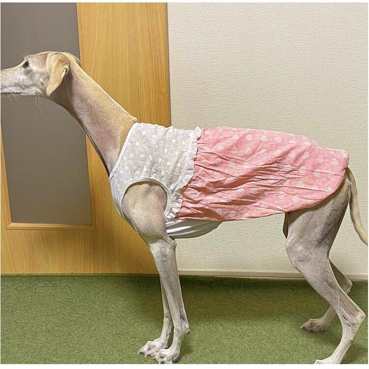 犬服 ワンピース 春夏 ハート柄 バルーンデザイン ポリエステル 3L 4L