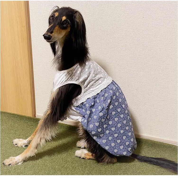 犬服 ワンピース 春夏 ハート柄 バルーンデザイン ポリエステル 3L 4L