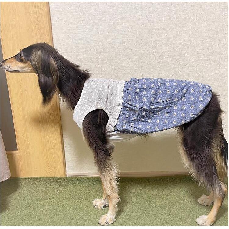 3L 4L中型犬 犬用 ワンピース かわいい ハート柄 犬服 犬 服 犬の服 ドッグウェア ペット用 おしゃれ 洋服 可愛い 春夏 春 夏 サルーキ｜beanspet2018｜19