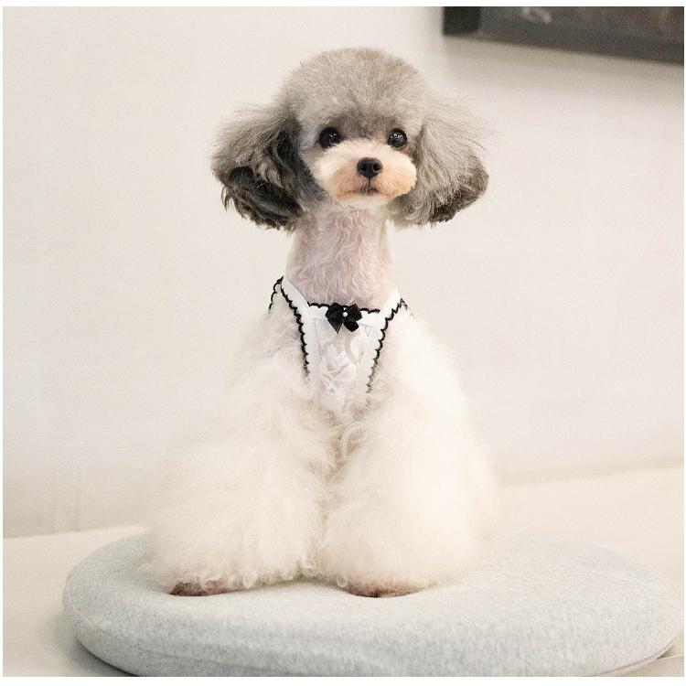 犬用 お洋服 まとめ売り 犬用 洋服 まとめ売り - メルカリ