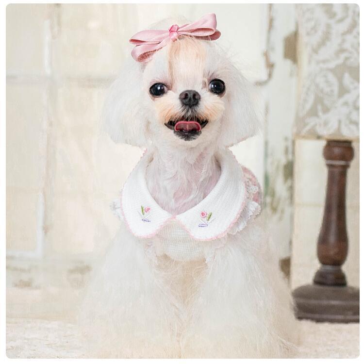 20%OFFクーポン対象 犬服 ワンピース 虹色ツイード 綿100％ 小型犬