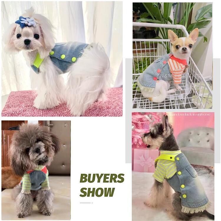 犬服 デニムワンピース ダメージ加工 ネオンカラー 小型犬 中型犬 XS S