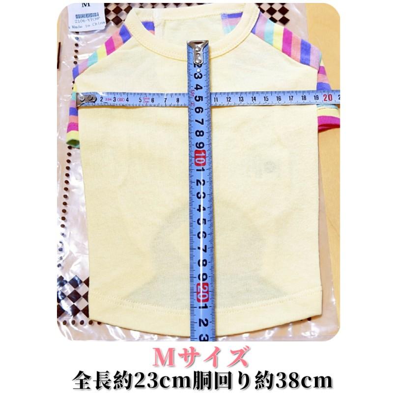 ハンドメイド　カットソー　オーダー小型犬 ハンドメイド犬服 Sサイズ 小型犬用 恐竜柄Tシャツ【アイボリー