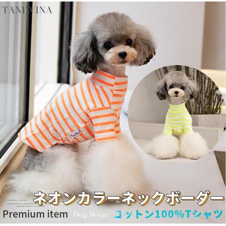 犬服 犬 服 カットソー シャツ ネオンカラー ネック ボーダー ブランド 犬の服 ドッグウェア 猫 小型犬 コットン100%｜beanspet2018