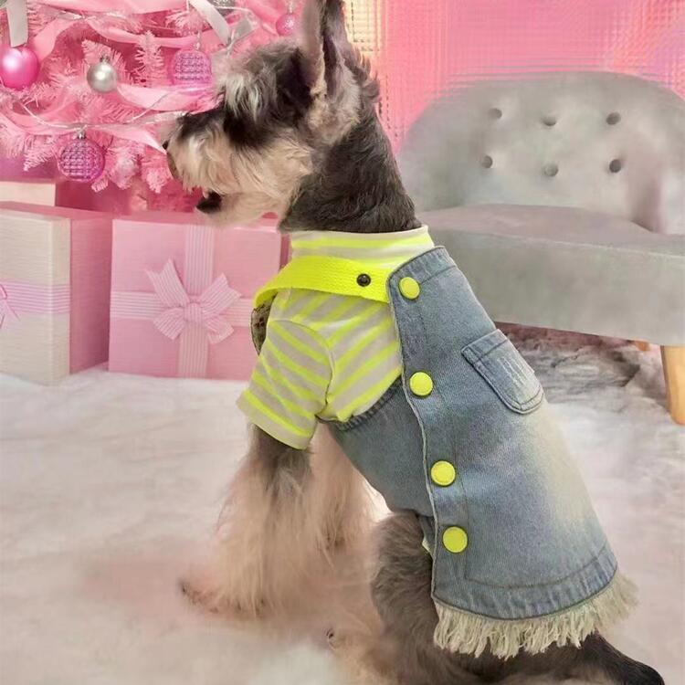 犬ボーダーシャツ　マルチボーダーＴシャツ　犬お洋服　ペットボーダーウェア bluedays_km944ts