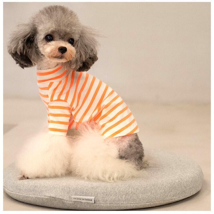 犬服 犬 服 カットソー シャツ ネオンカラー ネック ボーダー ブランド