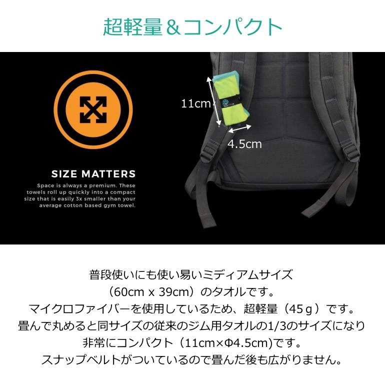 Acteon アクテオン ジム タオル 超軽量 コンパクト 抗菌 マイクロファイバー 超吸収 速乾 ジム スポーツ 旅行 キャンプ 登山 ハイキング Acteon Gym Towel Bear House 通販 Yahoo ショッピング