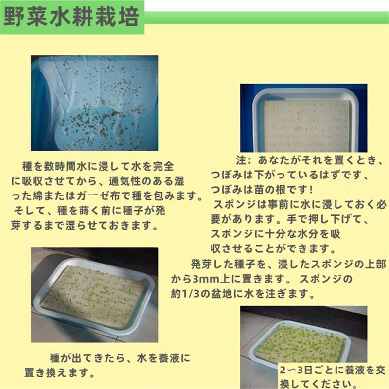 水耕栽培キット 3層12管 無土壌栽培設備配管水耕野菜栽培 室内と庭園栽培器 育成システム 家庭用 ベランダ 庭 スポンジ ポンプ付き プランター 野菜を育てる 2023進化版LAPOND 水耕栽培システム 4列3層 食品級PVC-U管水耕栽培キット 108穴 水耕栽培植物用 無土壌栽培 セット 自動 I1663324051(15170円)