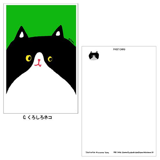 TaMa たま ポストカード 3枚セット Post Card 3-Set ハガキ 絵葉書