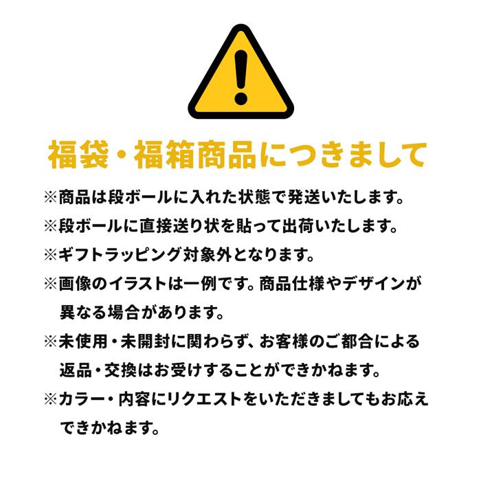 福袋 ノースフェイス 4点 メンズ レディース 裏起毛 プルオーバー パーカー ビーニー 帽子 リュック バッグ ボックス型 TNF｜bearfoot-shoes｜12