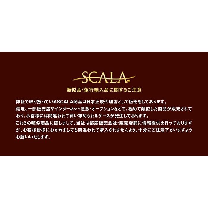 サンバイザー メンズ レディース シンプル 男女兼用 スカラ 日よけ スポーツ 紫外線対策 日焼け防止 SCALA CHAMPLAIN V7 ポイント利用 | SCALA | 12