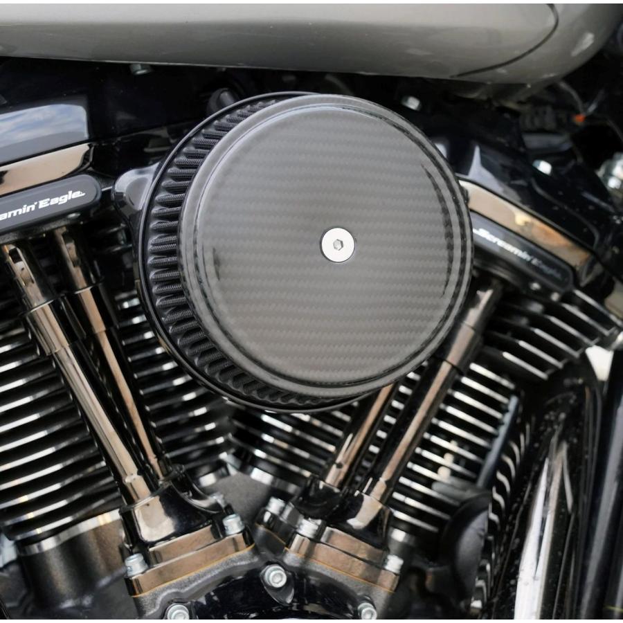 Harley Davidson（ハーレー・ダビッドソン） ARLEN NESS・Method
