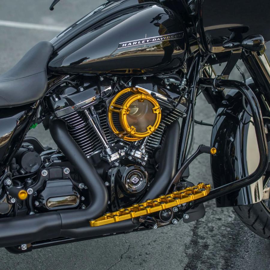 Harley Davidson（ハーレー・ダビッドソン） ARLEN NESS・2008up 電子