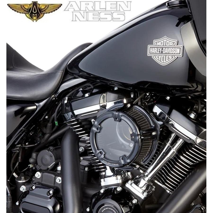 Harley Davidson（ハーレー・ダビッドソン） ARLEN NESS・2017up M8 