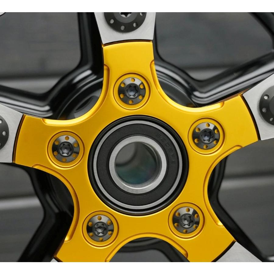 ARLEN NESS・HOLESHOT・チタン フロント ローターボルト・ブラック　300-913　2401-1705　ハーレー_2